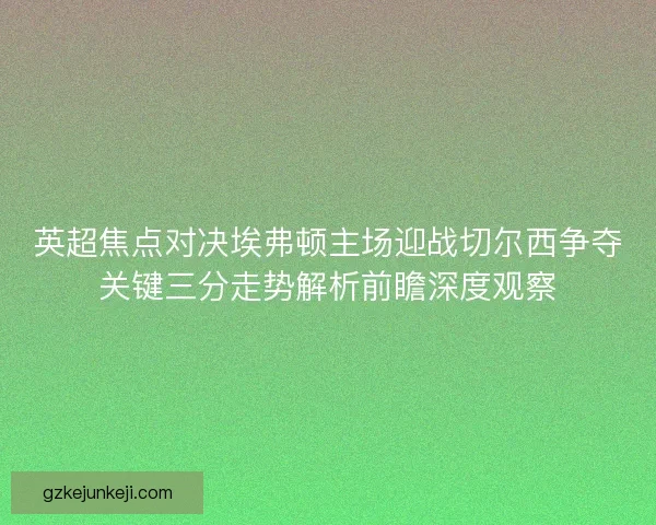 英超焦点对决埃弗顿主场迎战切尔西争夺关键三分走势解析前瞻深度观察