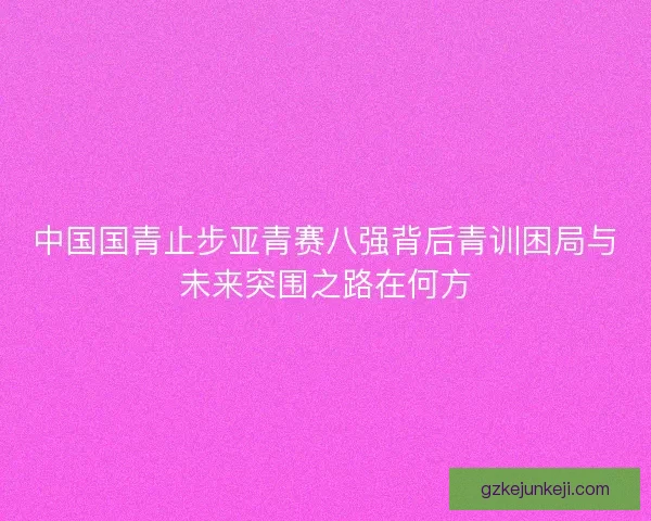 中国国青止步亚青赛八强背后青训困局与未来突围之路在何方