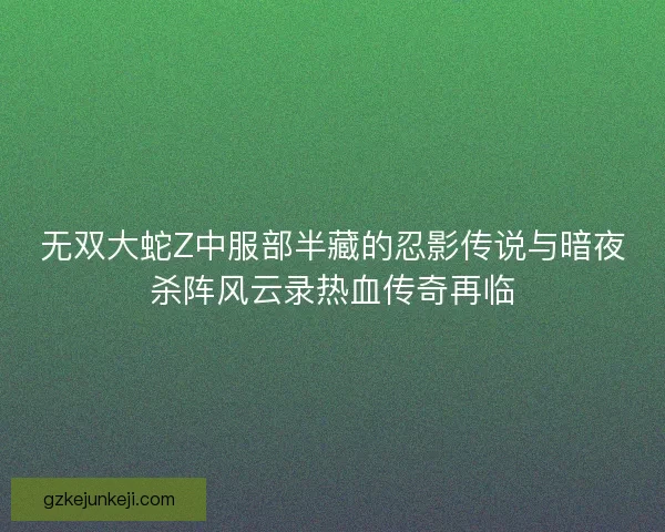 无双大蛇Z中服部半藏的忍影传说与暗夜杀阵风云录热血传奇再临